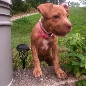 Meet your Posher, Edward